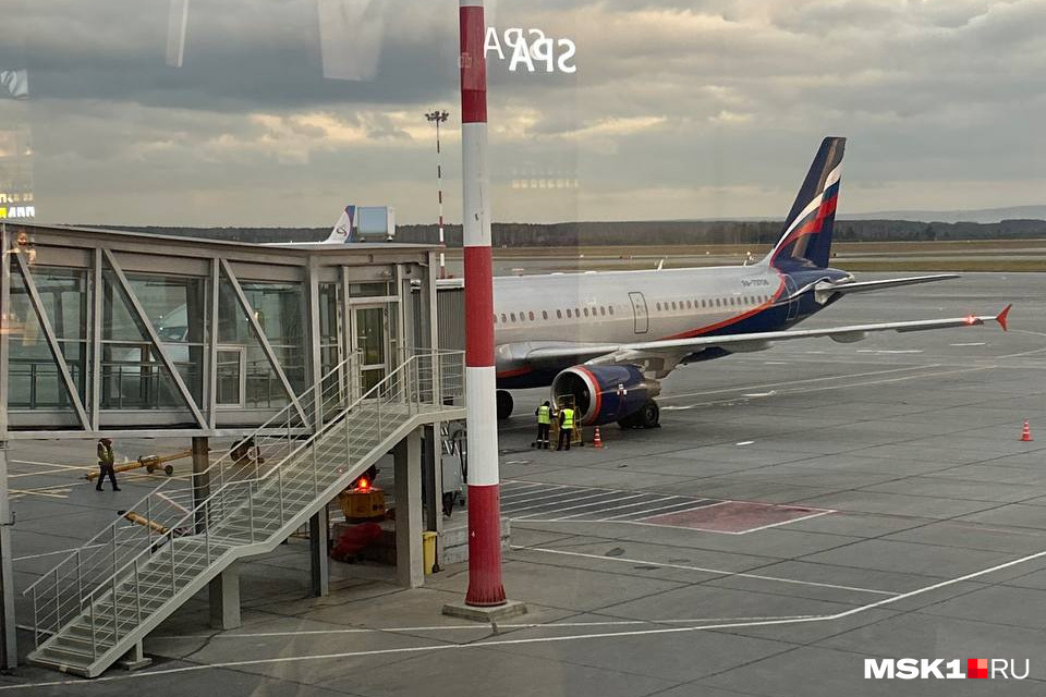 «Полагаем, что что-то случилось с двигателем». Рейс «Аэрофлота» из Екатеринбурга задержали из-за воробья
