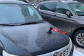 �������� ������� ����� � ����� Subaru Forester, ��������������� � ���� �� ������ &mdash; �����