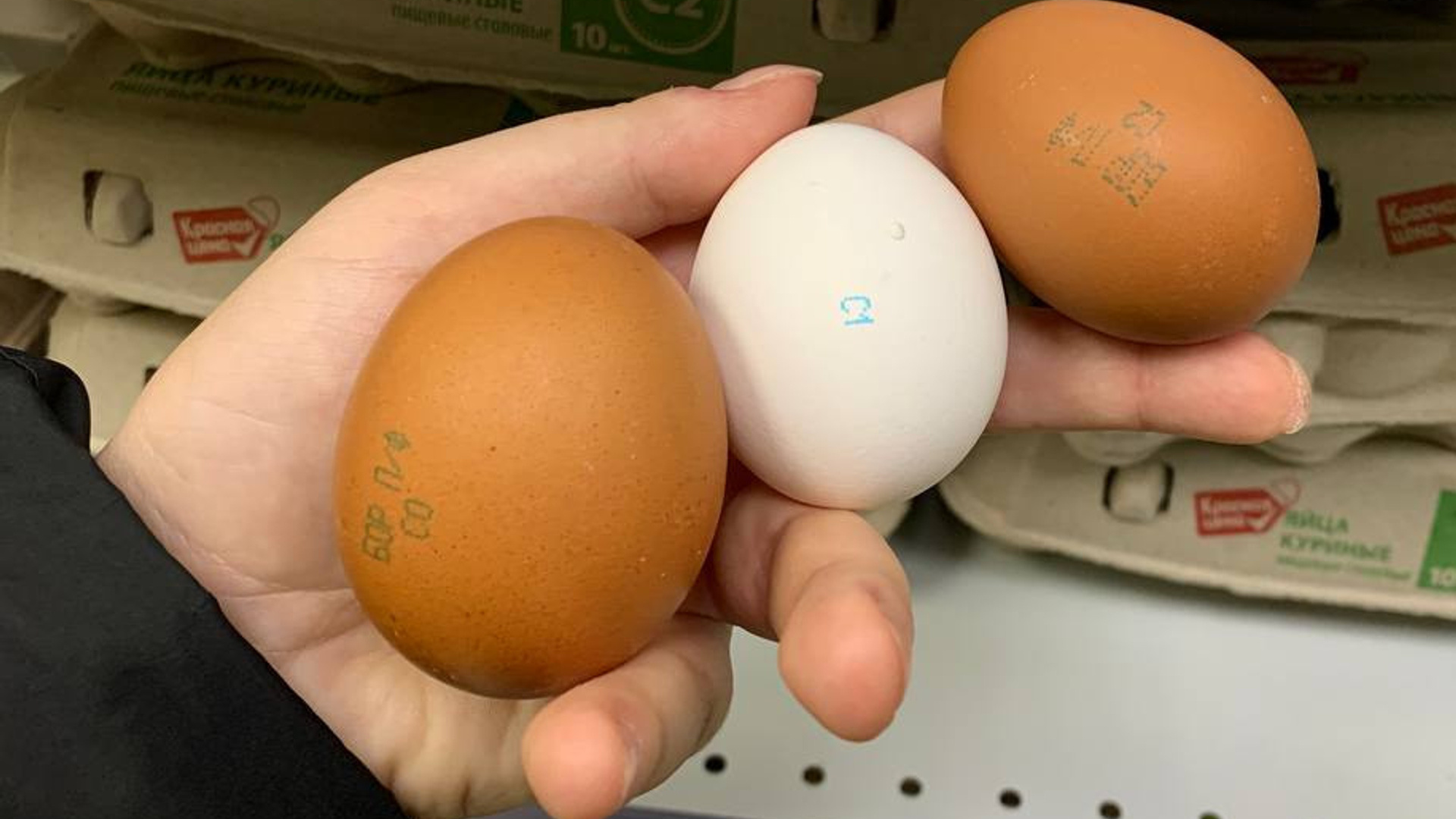 Удар по яйцам. Почему в магазинах «вылупились» трехзначные цены