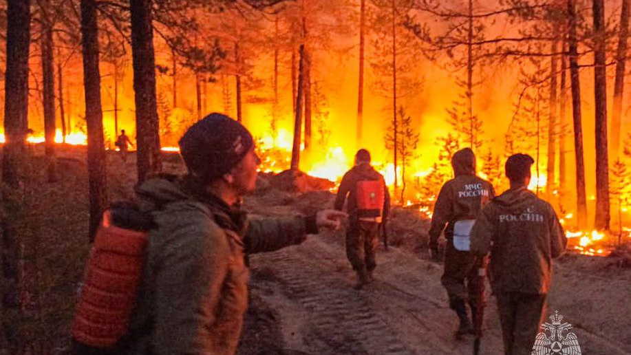 Села Якутии под огнем: лесной пожар угрожает уже 11 населенным пунктам