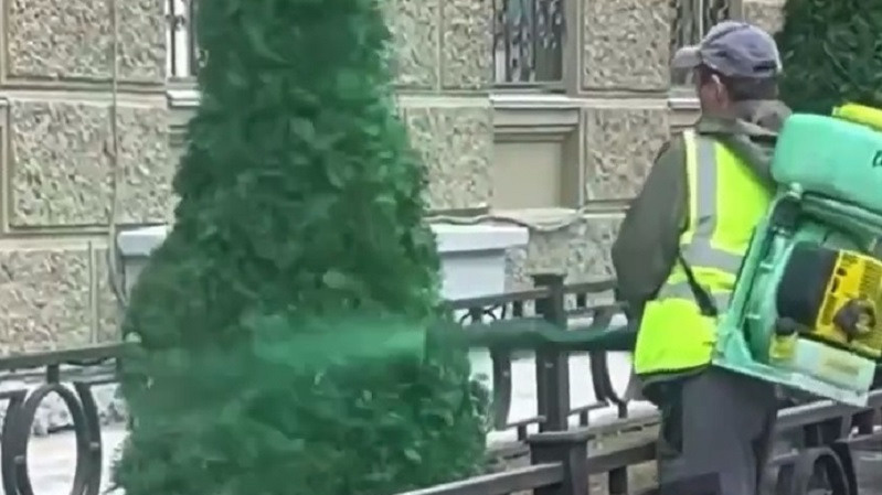 Пермяки сняли на видео, как елки на Компросе красят зеленой краской. Что происходит?