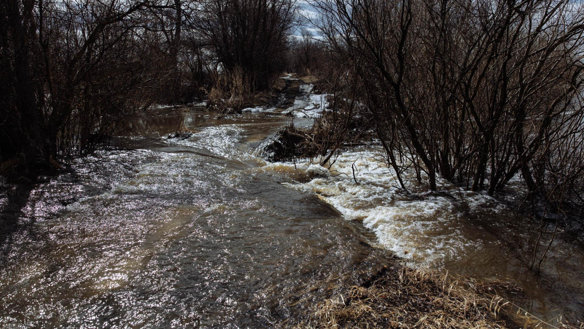 19 сантиметров до критической отметки: на реках Тюменской области прибывает вода
