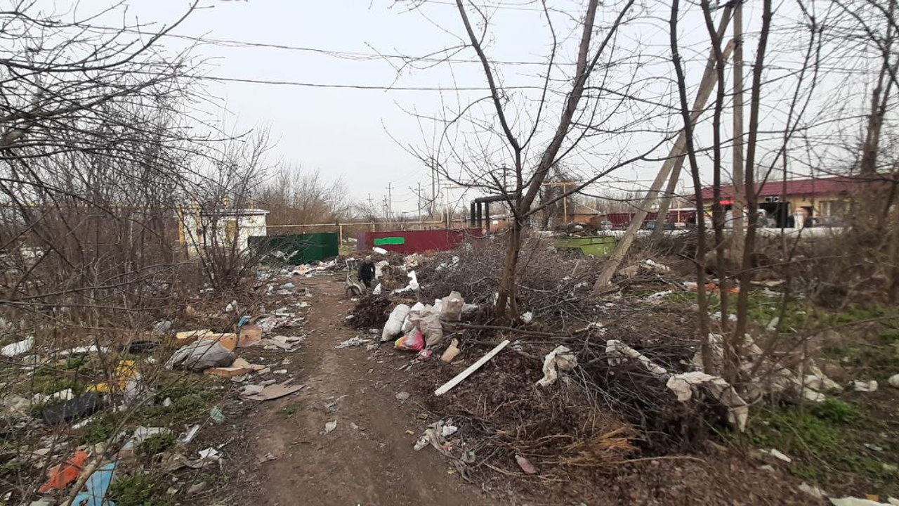 Жители каких городов Ростовской области больше всего возмущены мусором? Ответ властей