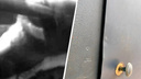 «Как в фильме ужасов»: сибиряк в маске и с монтировкой ломился в подъезды девятиэтажки — видео со взломщиком