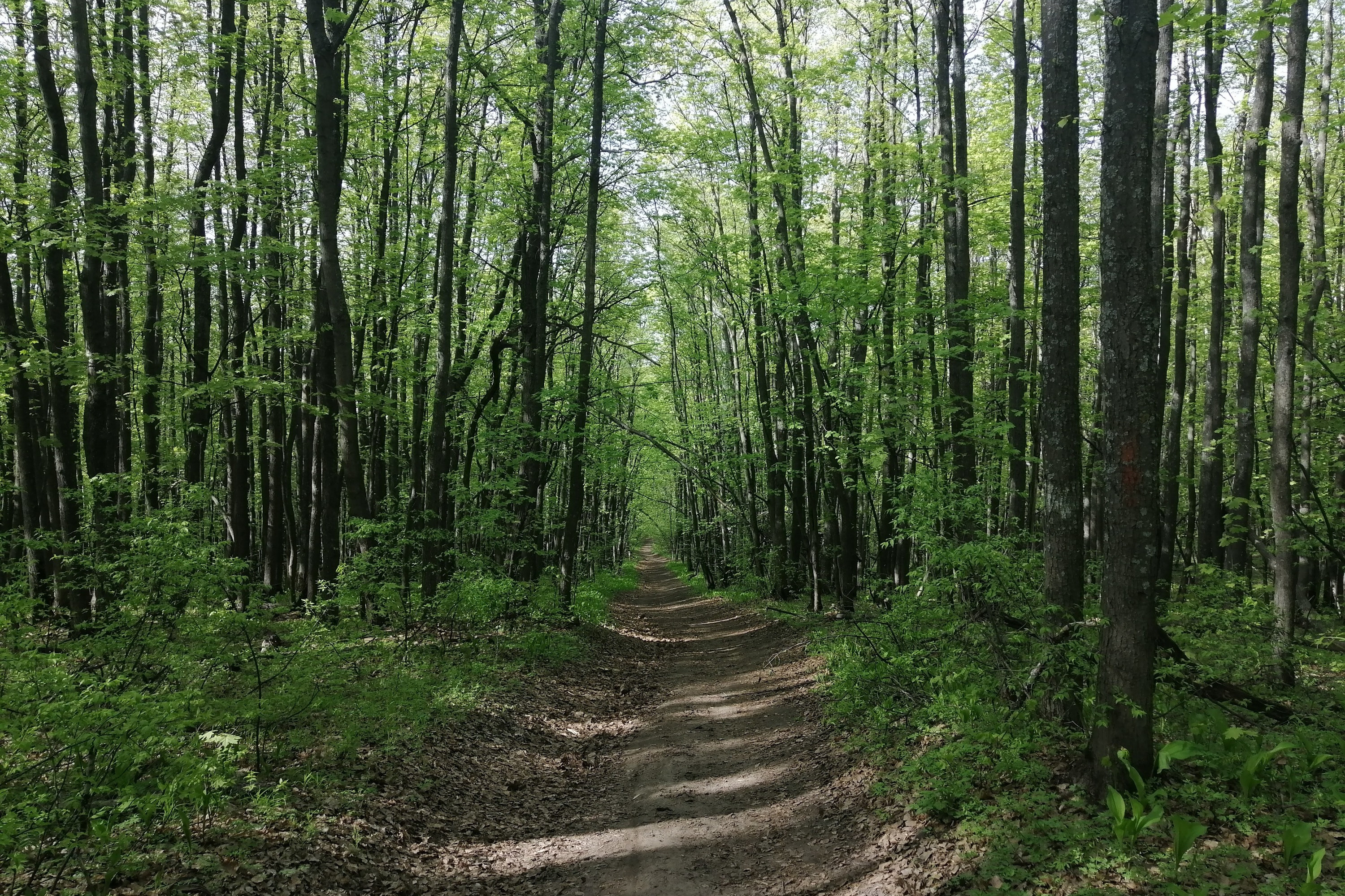 Рубил сумма. Выгодные вклады в рублях. Рубил сумма. Курс валюта узбекистан. Рубил сумма.