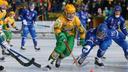 «Водник» завоевал третье место в чемпионате России по хоккею с мячом