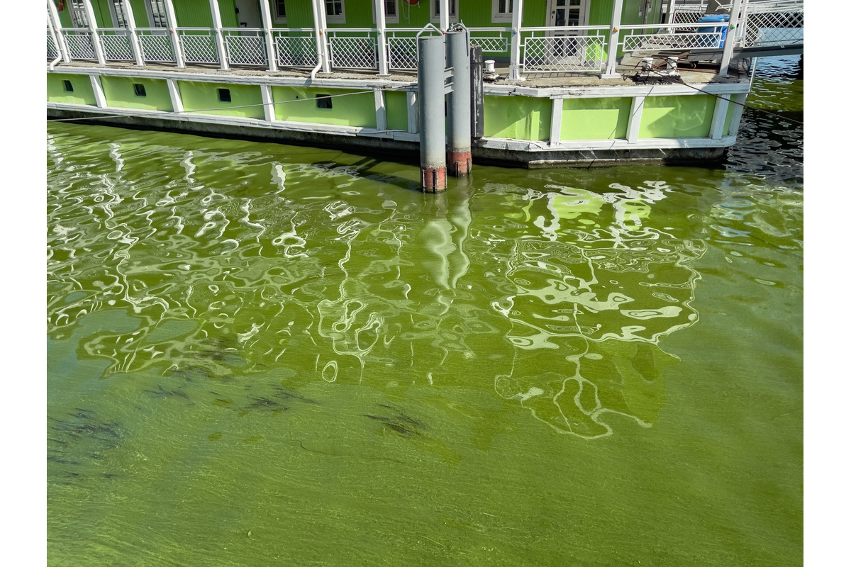 Ярославская вода. Химозная вода. Ярославль отель на воде. Ярославль заправка на воде.