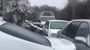 «Жаль хозяев»: в Новосибирске дерево упало на 3 машины – его повалило ветром