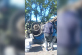 � ����������� ����������� ���������� ������������� &laquo;������&raquo;