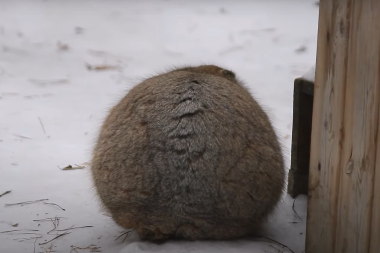 Цитаты из книг. Многое рассказал тем людям которые. Мем человек много говорит. Человек плохо говорит. Обои одинокий человек.