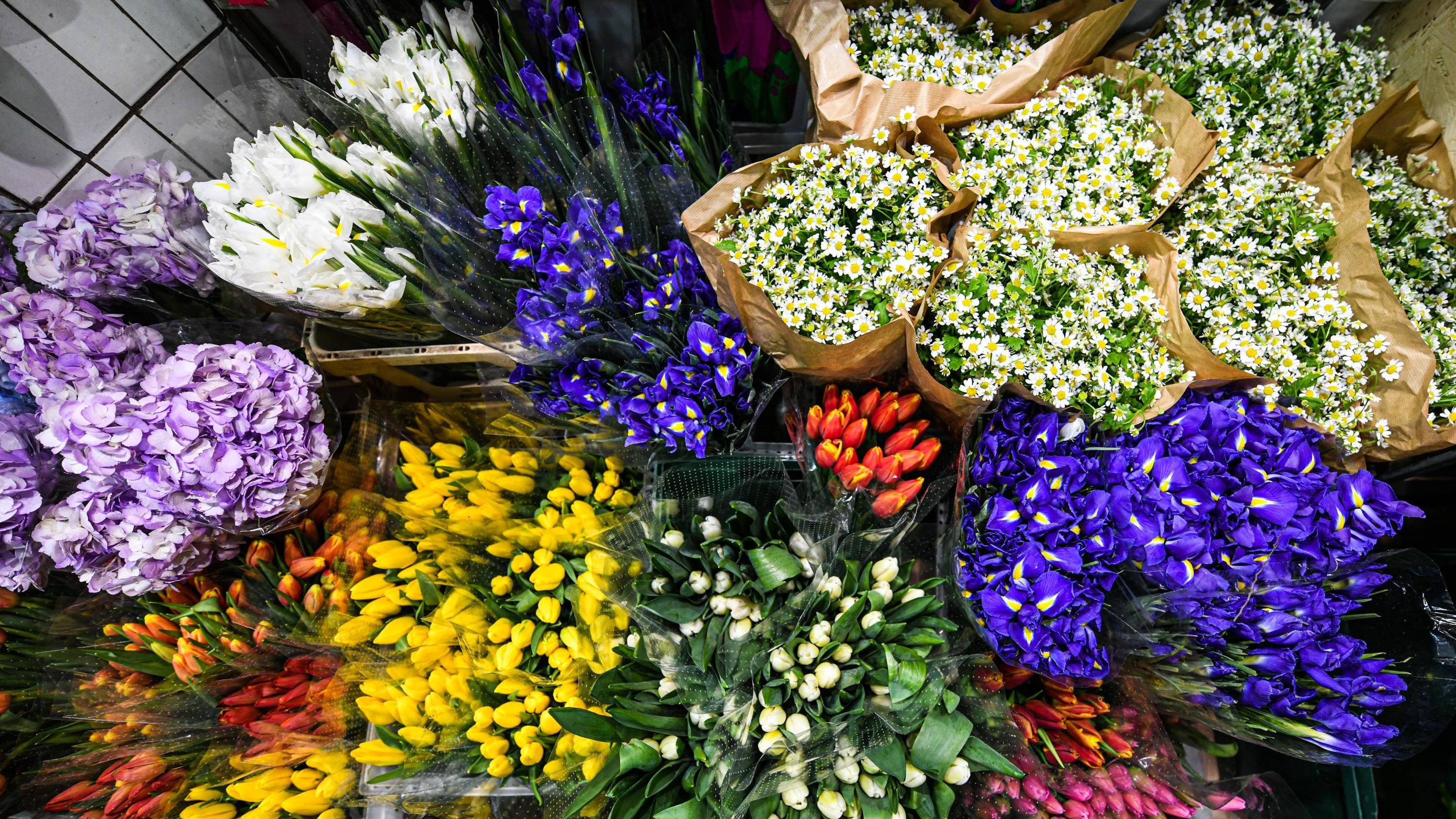 «Праздник испорчен»: ярославцы пожаловались на сбой в приложении доставки цветов в День всех влюбленных