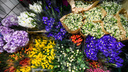 «Праздник испорчен»: ярославцы пожаловались на сбой в приложении доставки цветов в День всех влюбленных