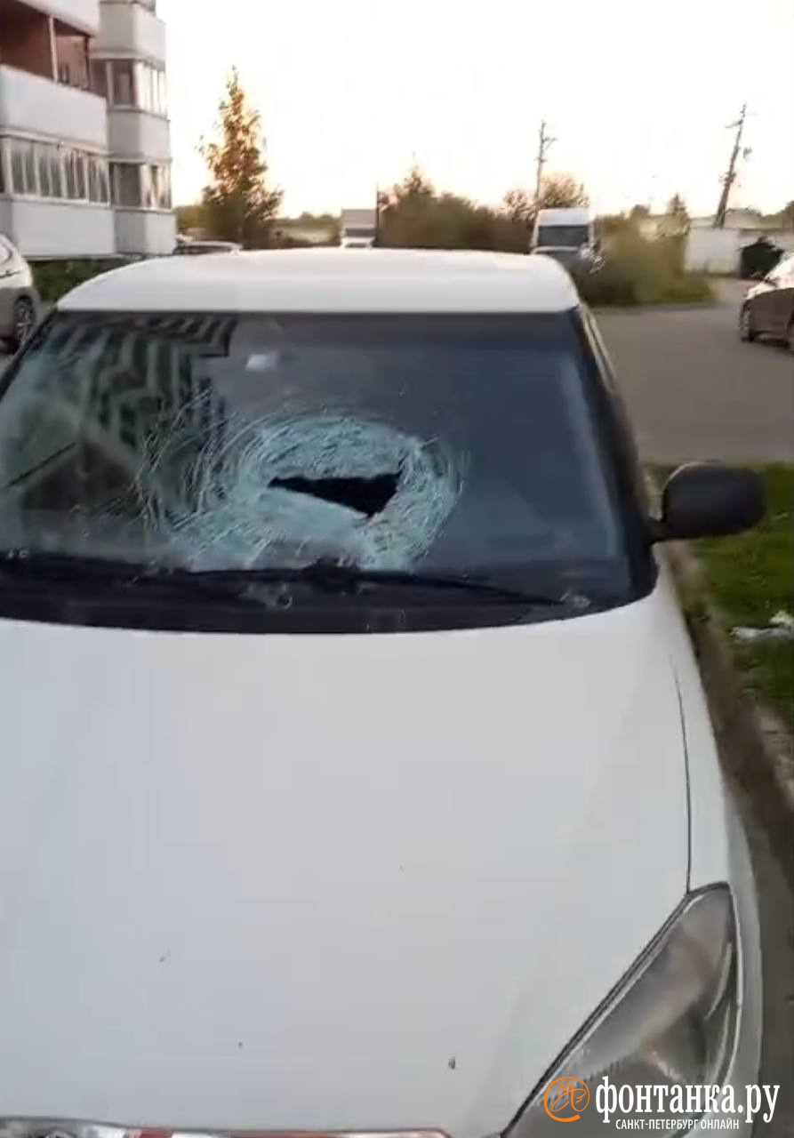 Шушары (железнодорожная станция). Мужчина упал с 18-го этажа на девочку в петербурге. В петербурге мужчина выпал с 22 этажа. В шушарах мужчина. В шушарах мужчина.