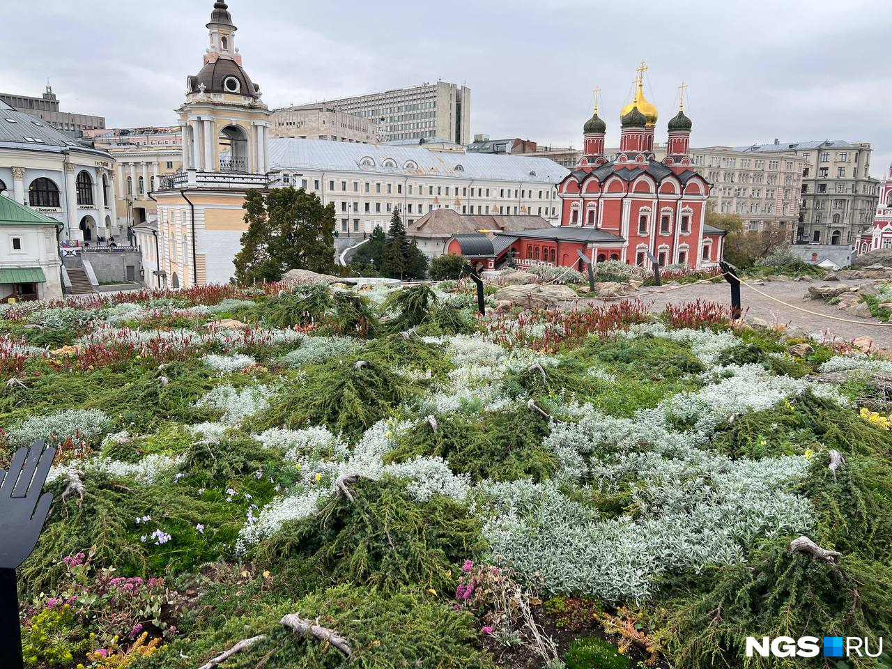 На фото не только травы, но и деревья: на севере и в соответствующей зоне парка Зарядье растительность жмется к земле На фото не только травы, но и деревья: на севере и в соответствующей зоне парка Зарядье растительность жмется к земле