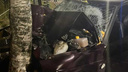 Машина врезалась в дерево: в Архангельске случилось смертельное ДТП