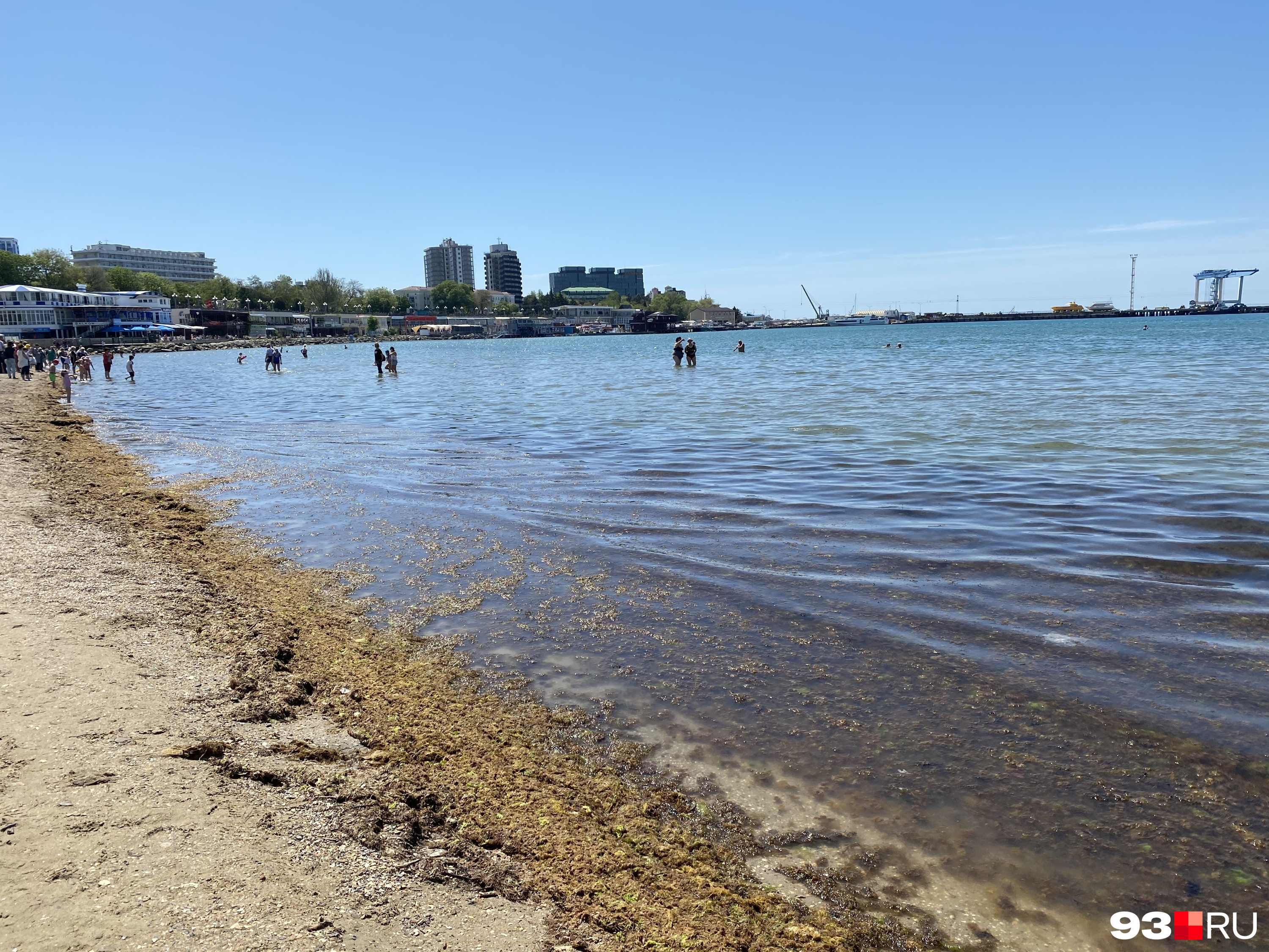 В Анапе море цветет из-за водорослей с начала лета