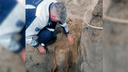 Рядом с АЭС под Воронежем нашли скелет неизвестного советского солдата