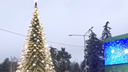В Ростове зажгли городскую елку, ставшую короче на три метра