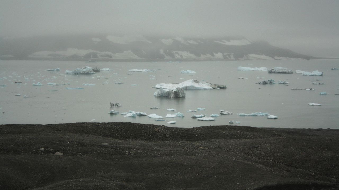 Чем загажена прекрасная Русская Арктика: ученые сообщили, какой это мусор и из каких стран
