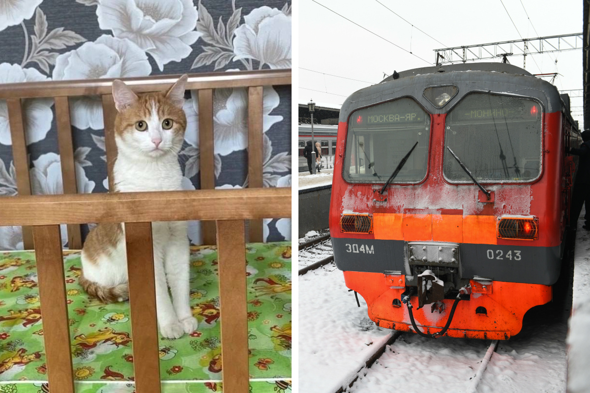 Туризм после 9 класса москва