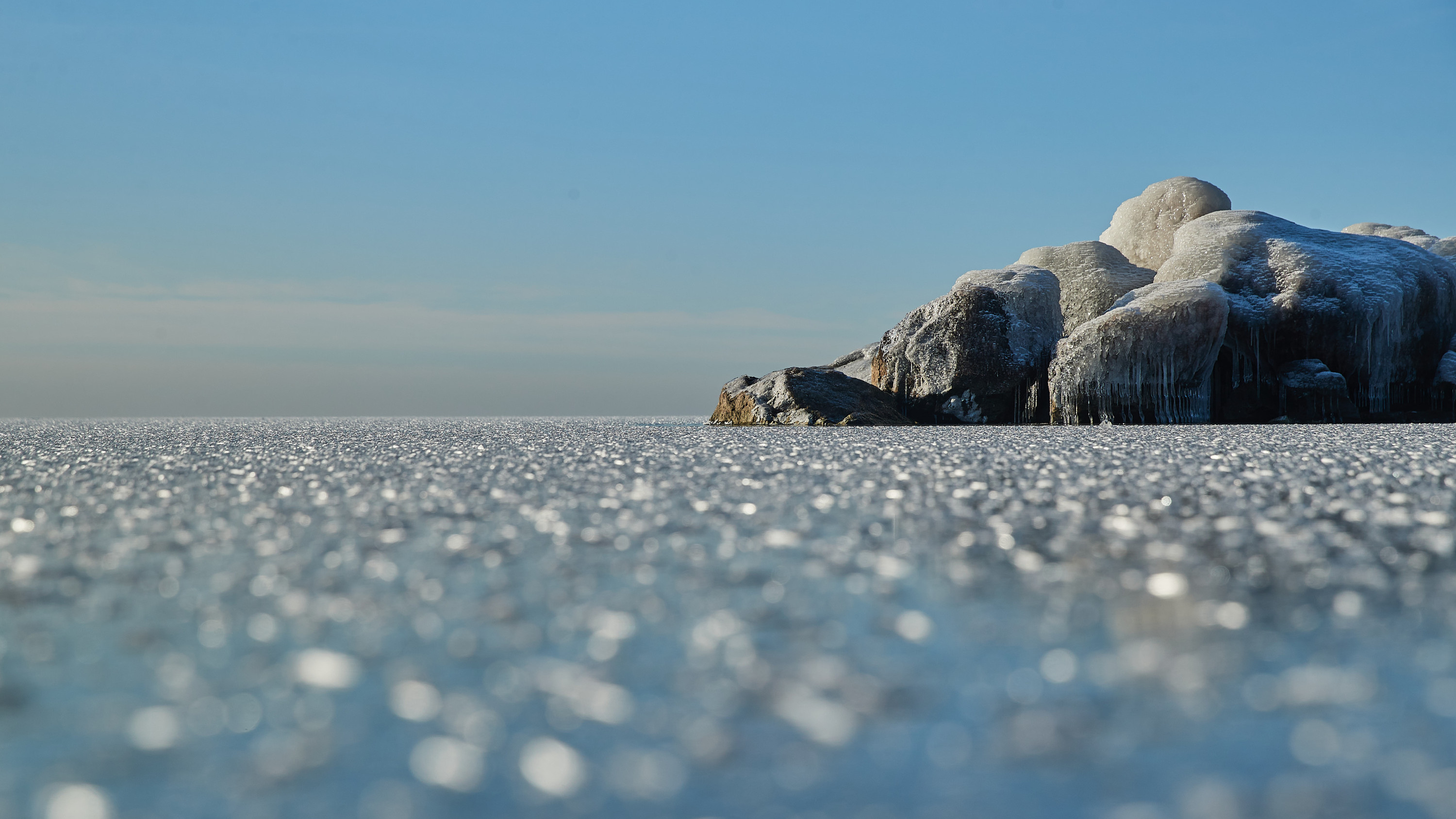 Заснеженный берег и важная чайка: Обское море покрылось льдом — посмотрите на зимние фото