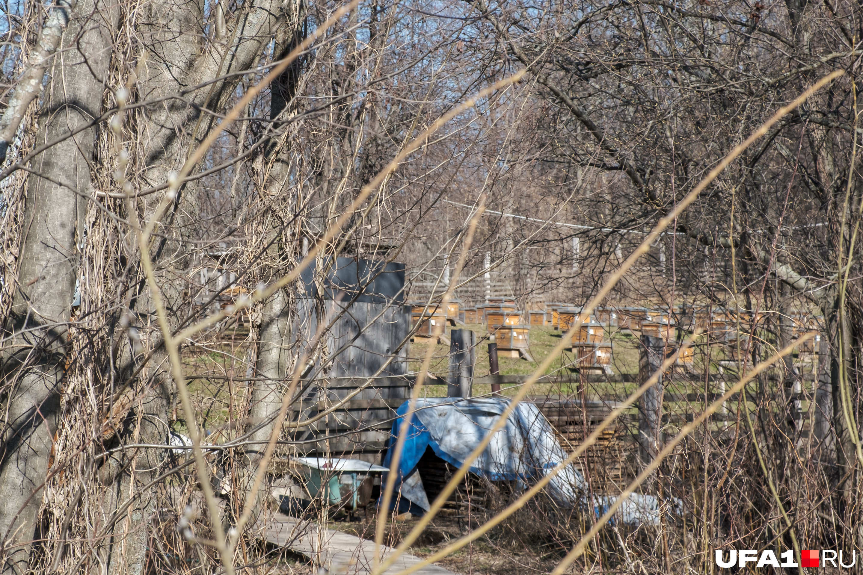 Вид сбоку на пасеку