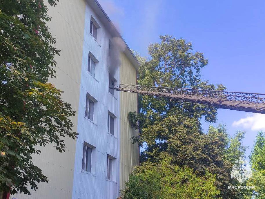 Белгородские пожарные спасали котят кислородной маской и массажем сердца. Их достали из горящей квартиры
