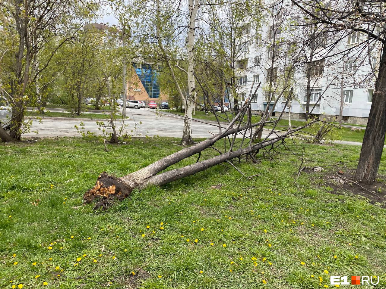 В садах полыхает дом, из-за ветра есть угроза распространения огня: онлайн про непогоду в Екатеринбурге