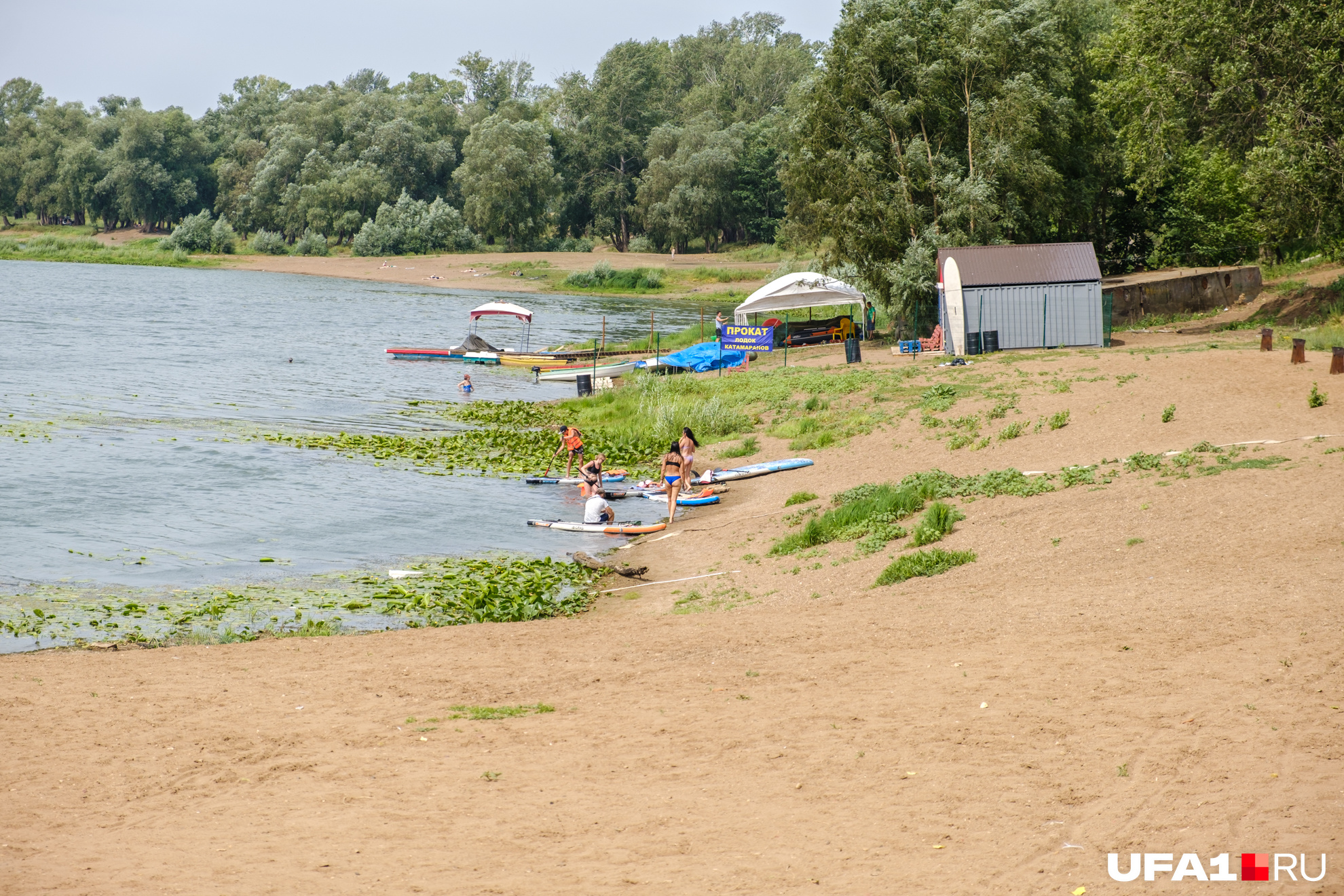 А вот купаться в таких водорослях — нет