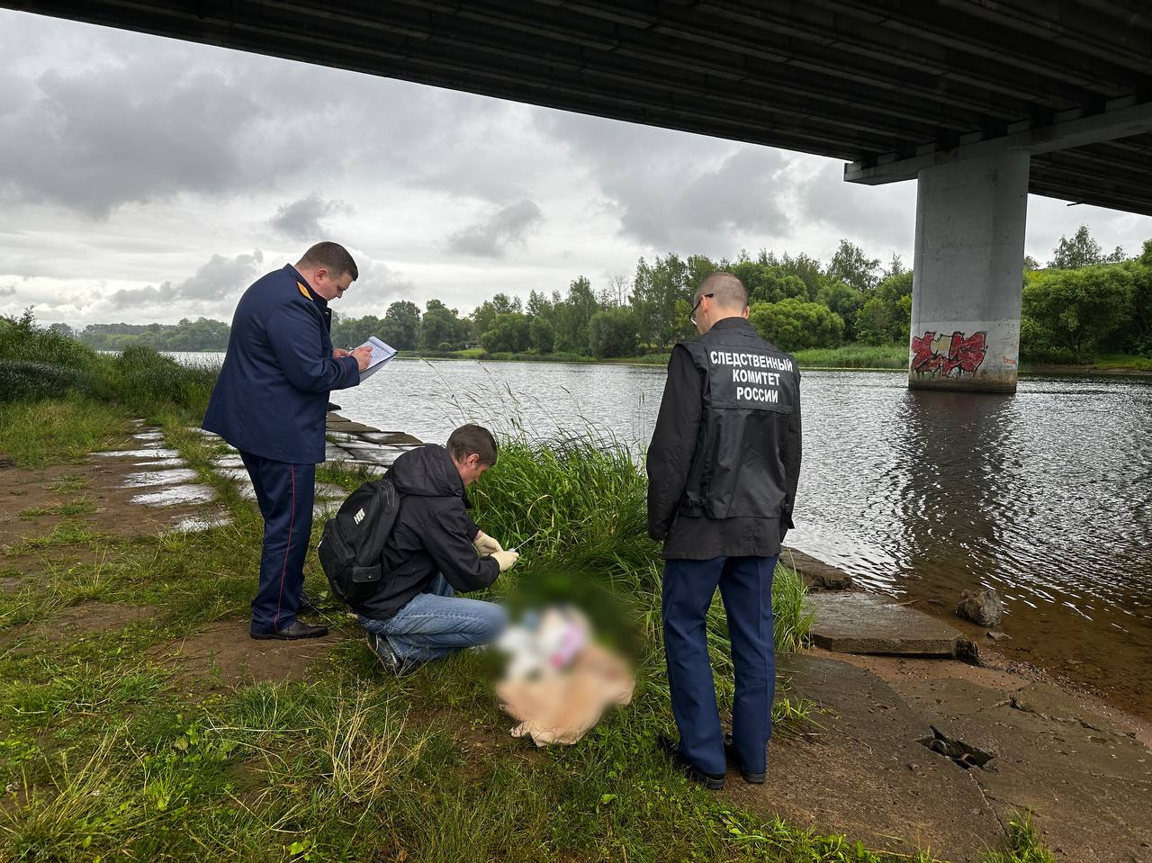 В Ярославле 35-летняя мама утопила грудную дочку под Толбухинским мостом:  что известно об убийстве младенца, подробности - 14 июля 2023 - 76.ru