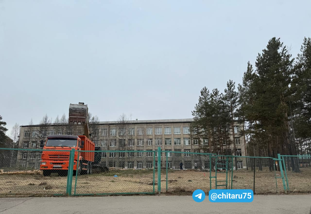 Модульный спортзал, ради которого срубили сосны в Чите, будет принадлежать школе
