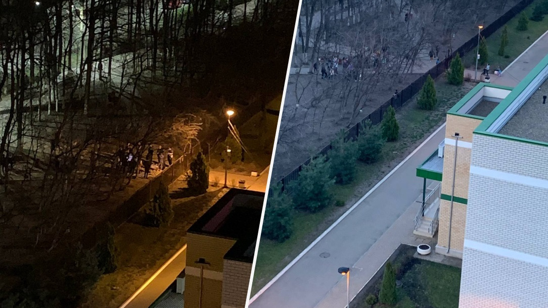 Власти Краснодара попросили не стоять по ночам в очереди, чтобы подать документы в школы