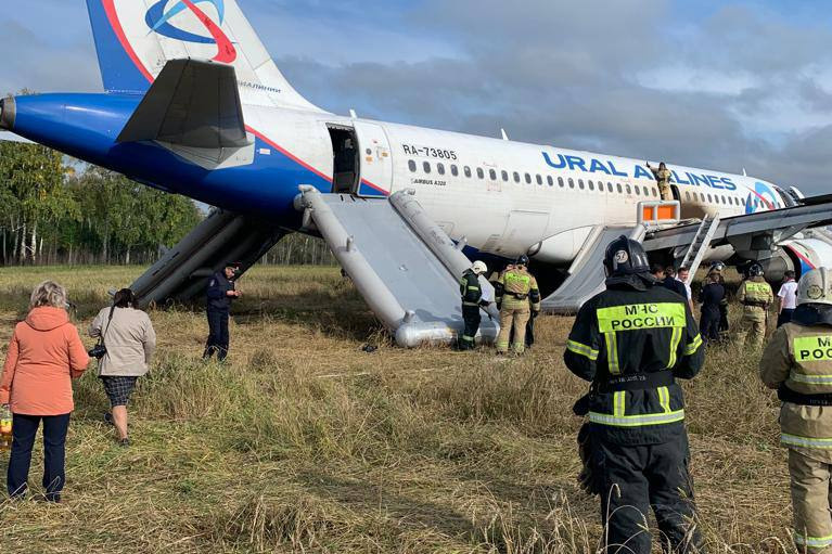 Чудо в пшеничном поле: пассажиры самолета «Уральских авиалиний» рассказали об экстренной посадке под Новосибирском