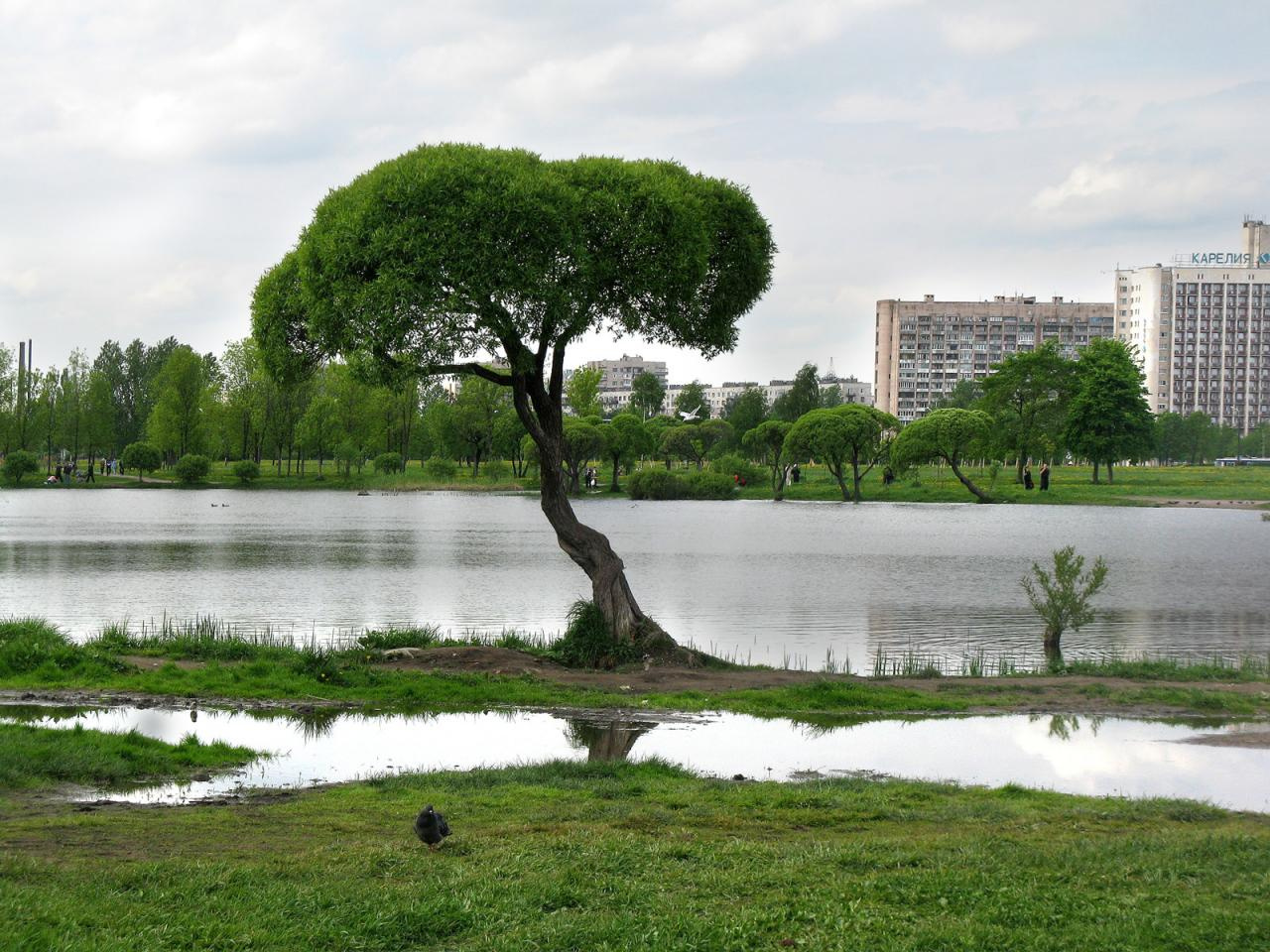Полюстровский парк