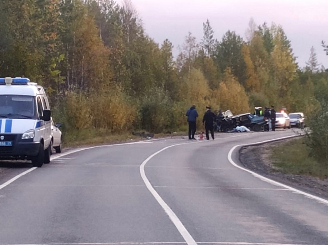 В аварии под Северодвинском погибли два человека: как выглядит место  ночного ДТП | 21.09.2023 | Архангельск - БезФормата