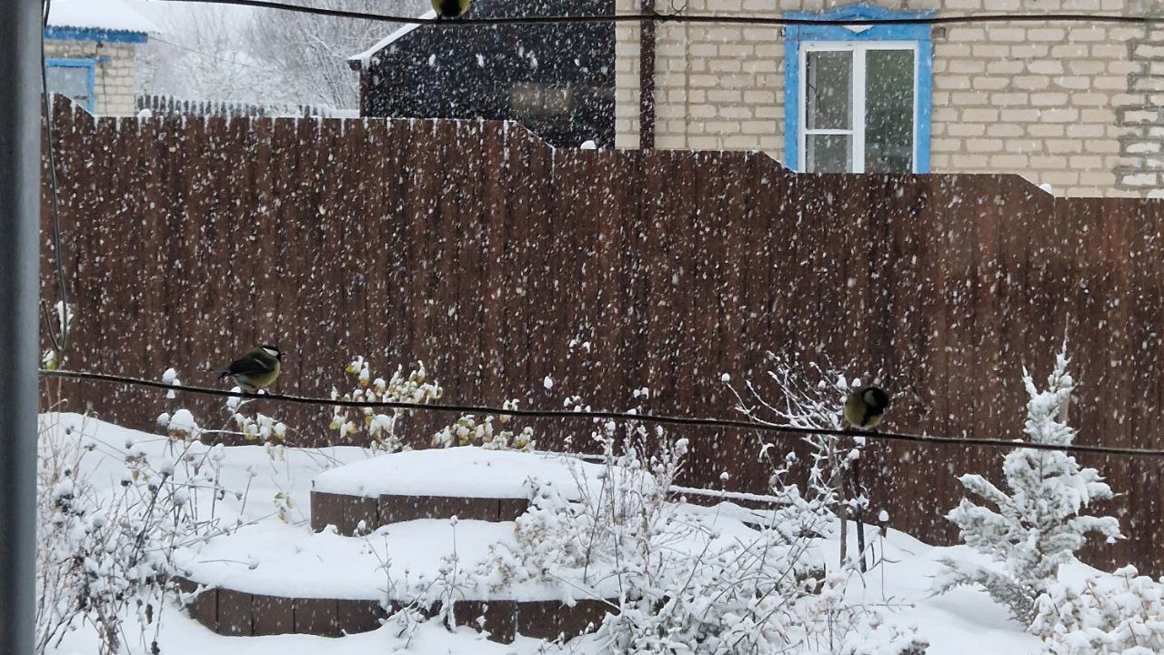 Первый снег засыпал север Ростовской области: фото