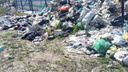 В облкомприроды отстранились от полыхающих гор мусора под Волгоградом