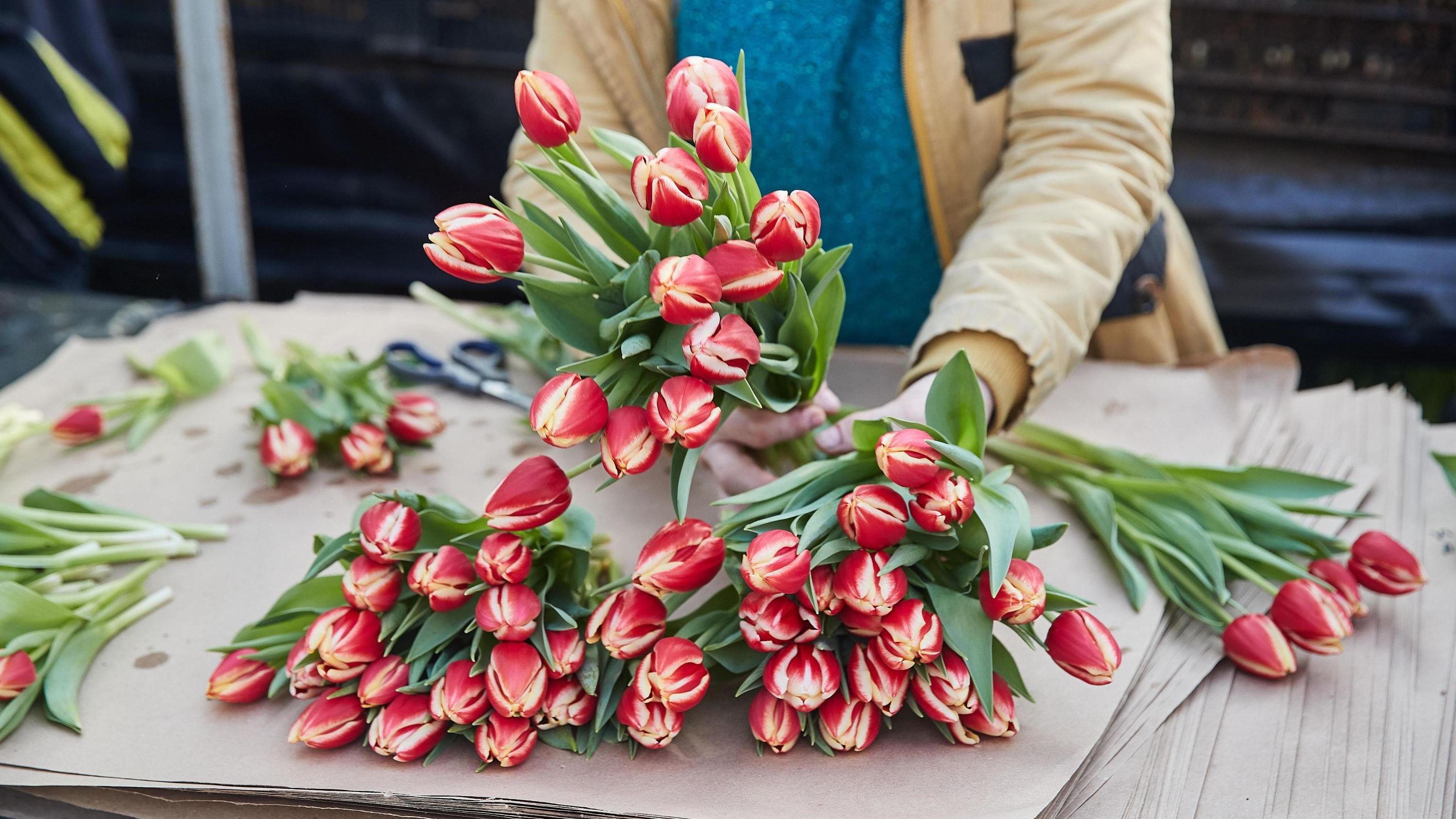 Розы по 300 рублей, тюльпаны — по 150: какие цены на цветы будут в Югре на <nobr class="_">8 Марта</nobr>