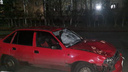 На трассе Омск — Тара водитель насмерть сбил двоих пешеходов
