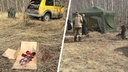 В Челябинской области задержали браконьеров, убивших краснокнижных лебедей