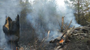 «Просто жесть! Всё выгорело». Страшные кадры последствий лесных пожаров в России
