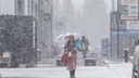 Шестидневный снегопад и -6 градусов: какой будет погода в Новосибирске в октябре — уточненный прогноз