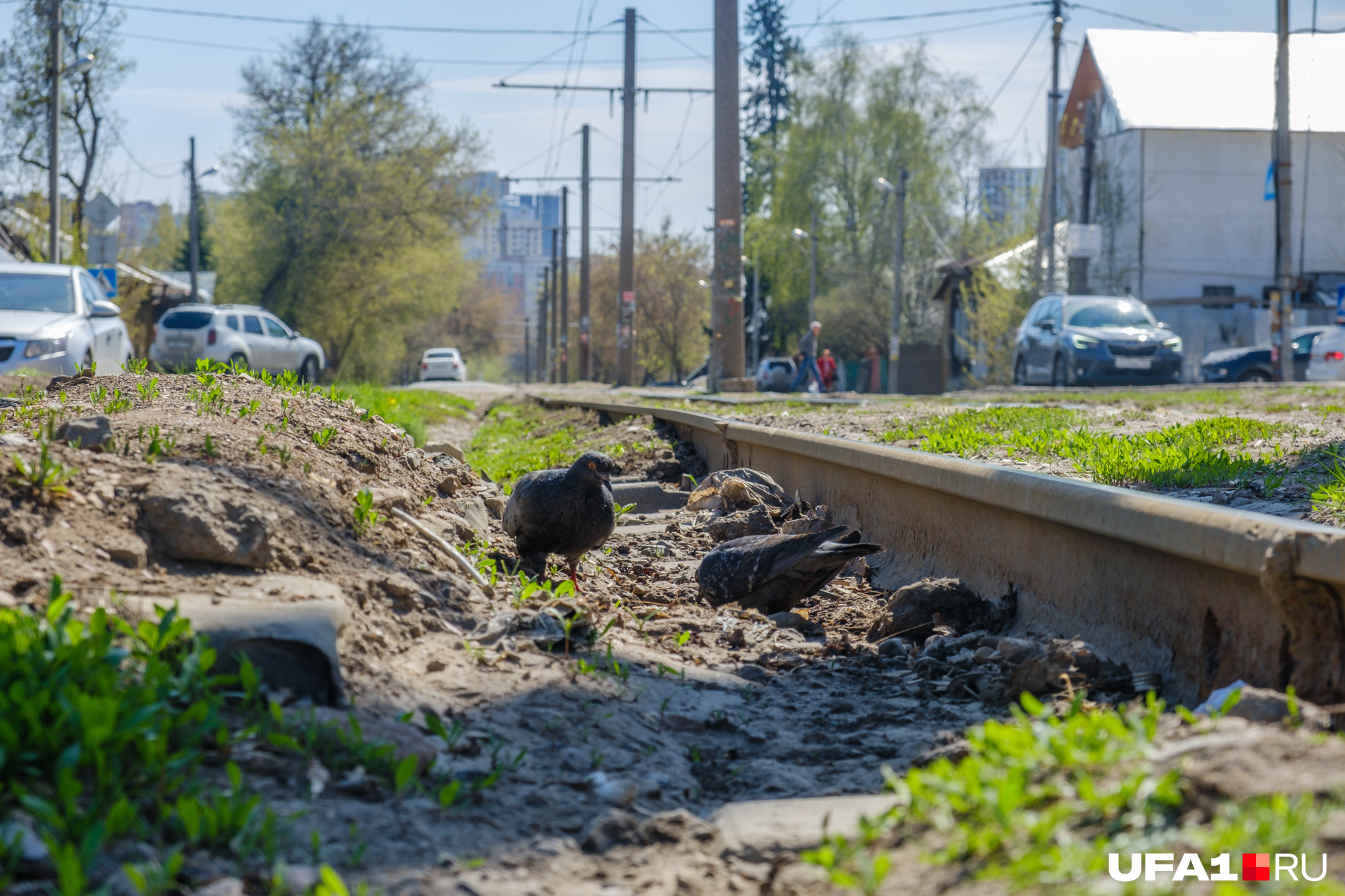 Уфа ея. Тротуар. Пешеходные дорожки в поселке. Научная улица Уфа. Фото Уфы сегодня сейчас.