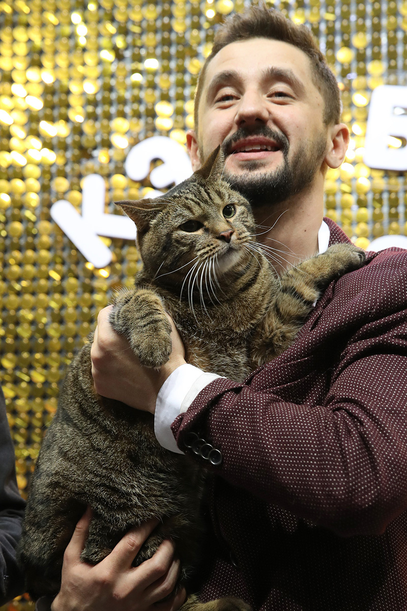 Умер толстый кот Виктор, прославившийся на всю Россию из-за скандала с «Аэрофлотом»