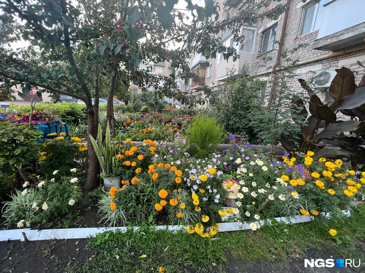 Особенная гордость петропавловских бабушек — цветники во дворах. Они и вправду очень уютные