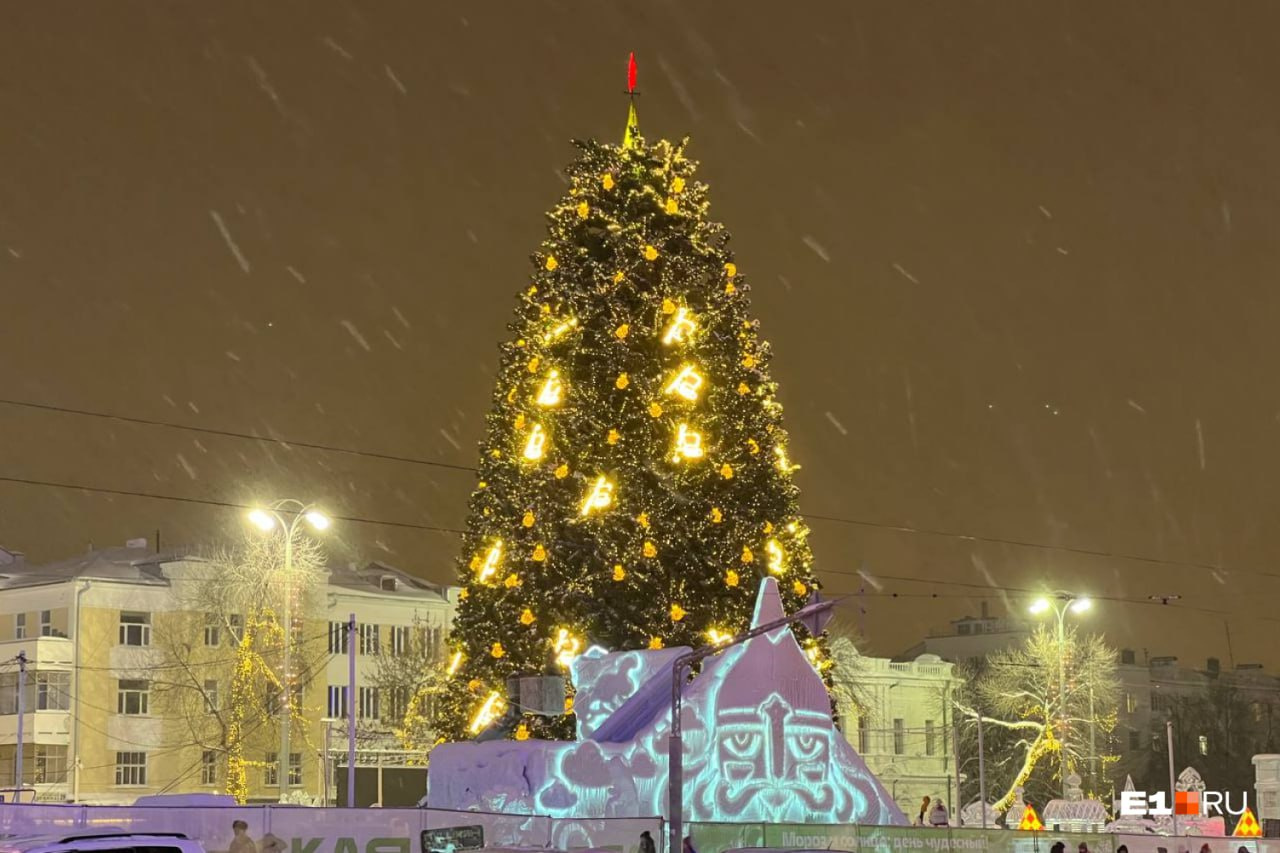 Живая ель или елка-конус? Выбираем лучшее новогоднее дерево в Екатеринбурге за последние годы