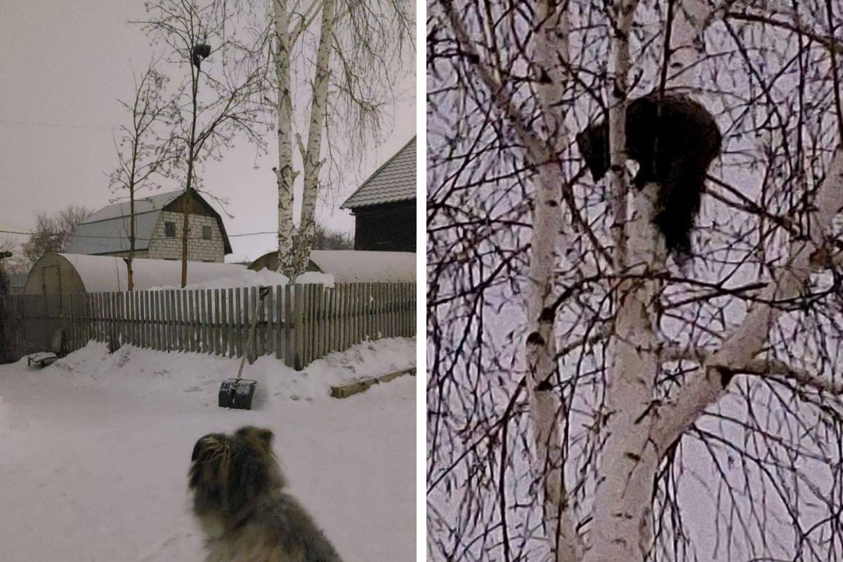 кавказский пленник 5 глава. глава 3 слово. старик хаджи из кавказского пленника. хаджи старик кавказский пленник. глава 3 слово.