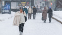 Зима не сдается: мартовский снегопад начался в Новосибирске — 10 снежных и мокрых фото