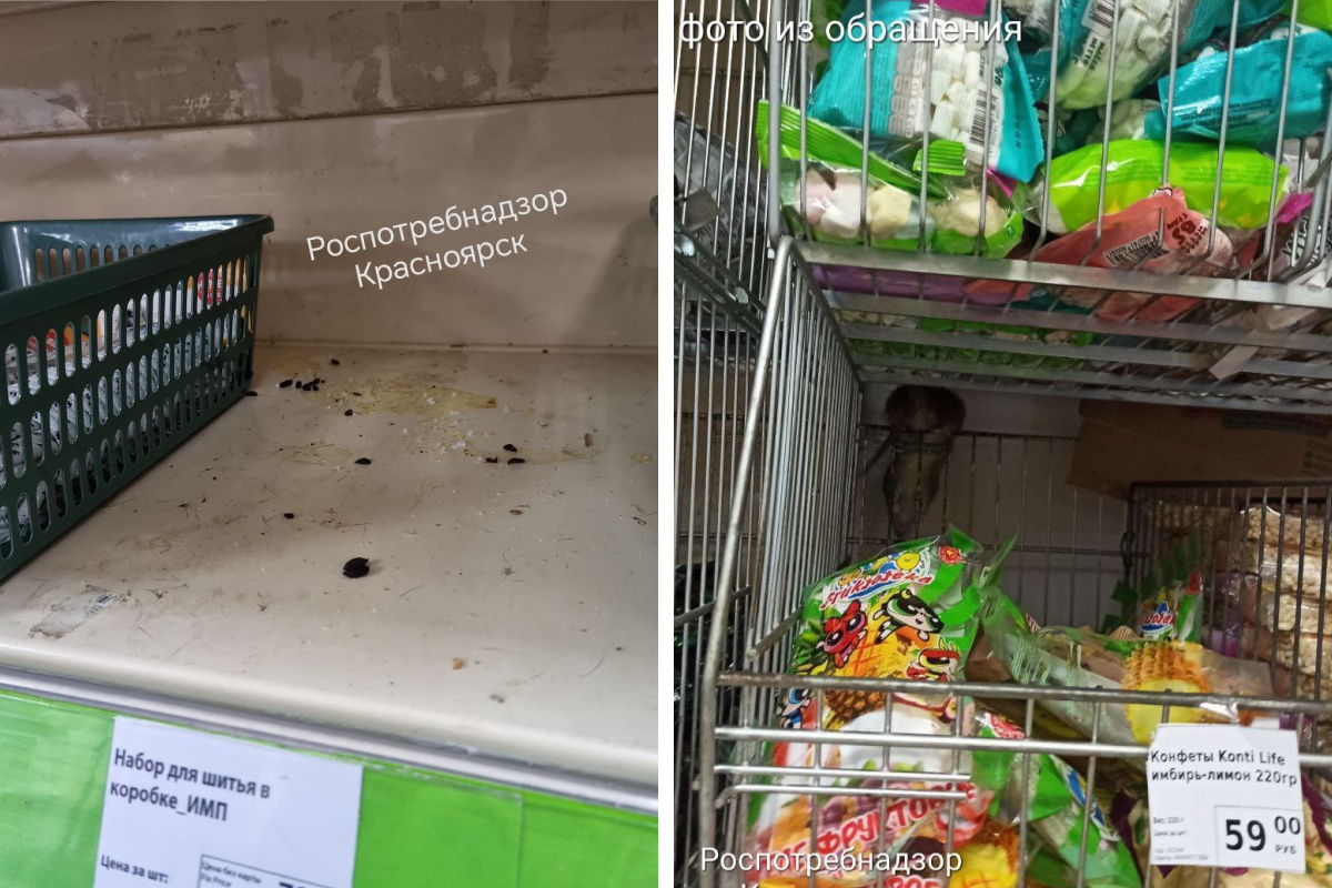 «Обнаружено три живых грызуна»: Fix Price на Красрабе закрыли из-за крыс