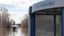 В Челноково затопило дорогу между остановками микрорайон и СНТ «Сады Надежда»